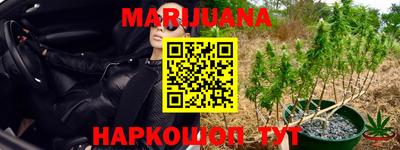 гашик Кунгур