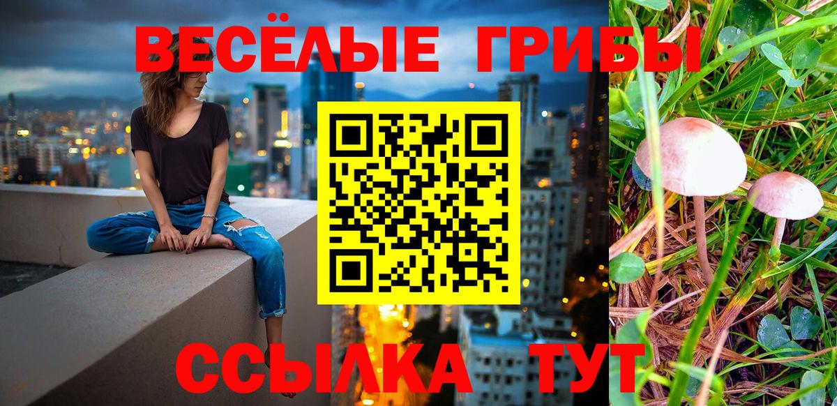 Ижевск  Псилоцибиновые грибы MAGIC MUSHROOMS  Вход с VPN  Псилоцибиновые грибы мухоморы 